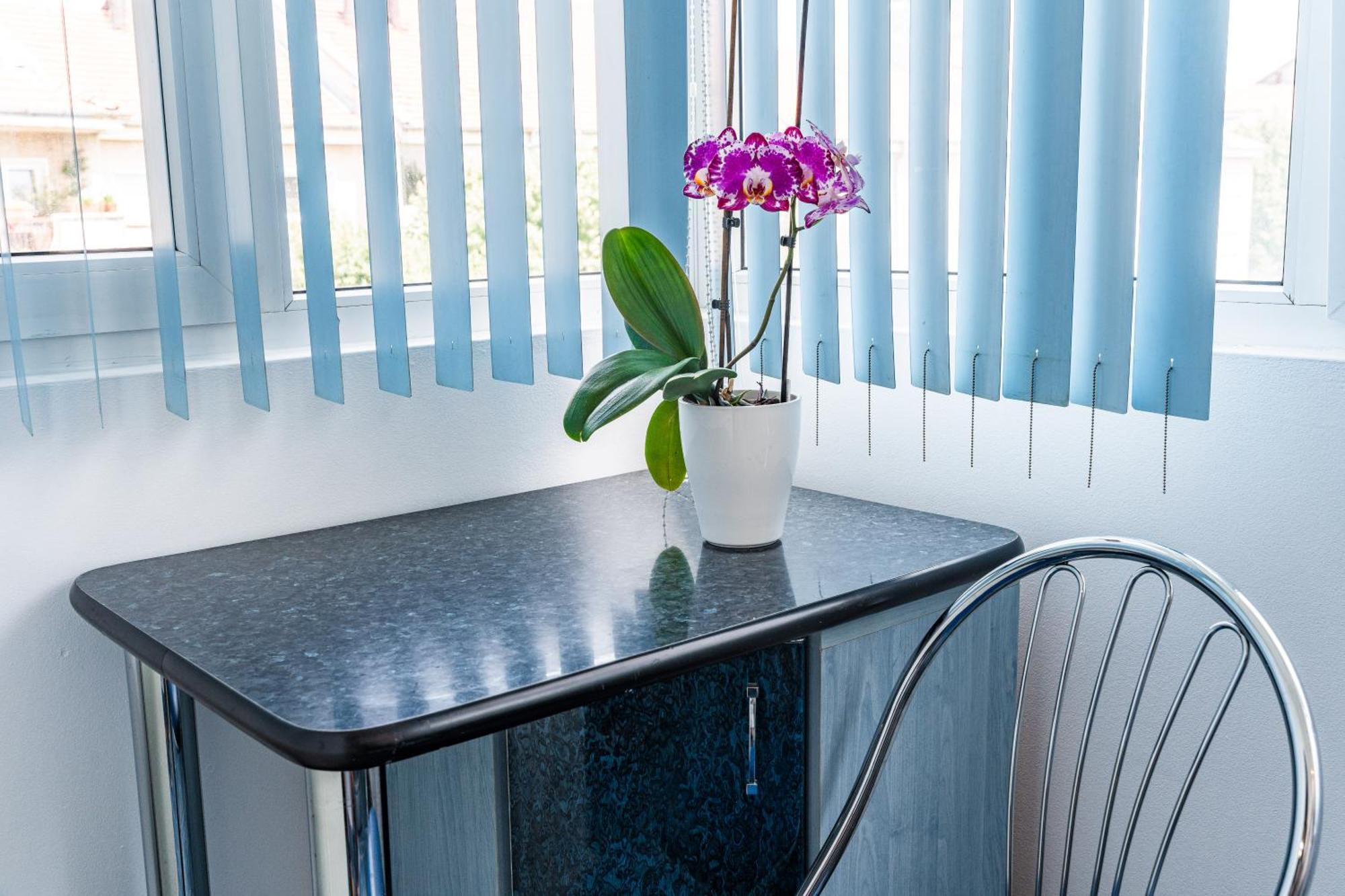 Arad Central Joy - Mihaela Apartment Екстериор снимка